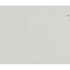 Image for Silestone 19176-1-1: Bianco Maple