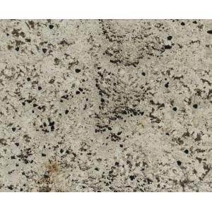 Image for Granite 21910-1-1: Delicatus